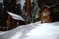 Snowy Lodge